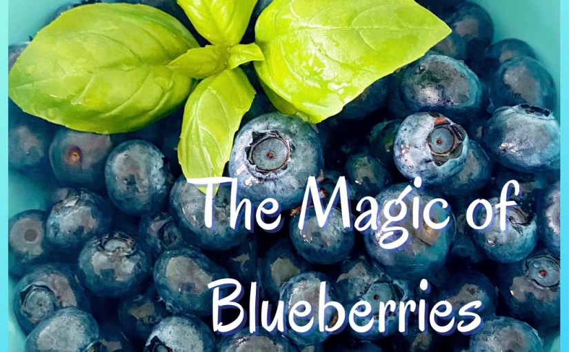 The Magic of&nbsp;Blueberries!